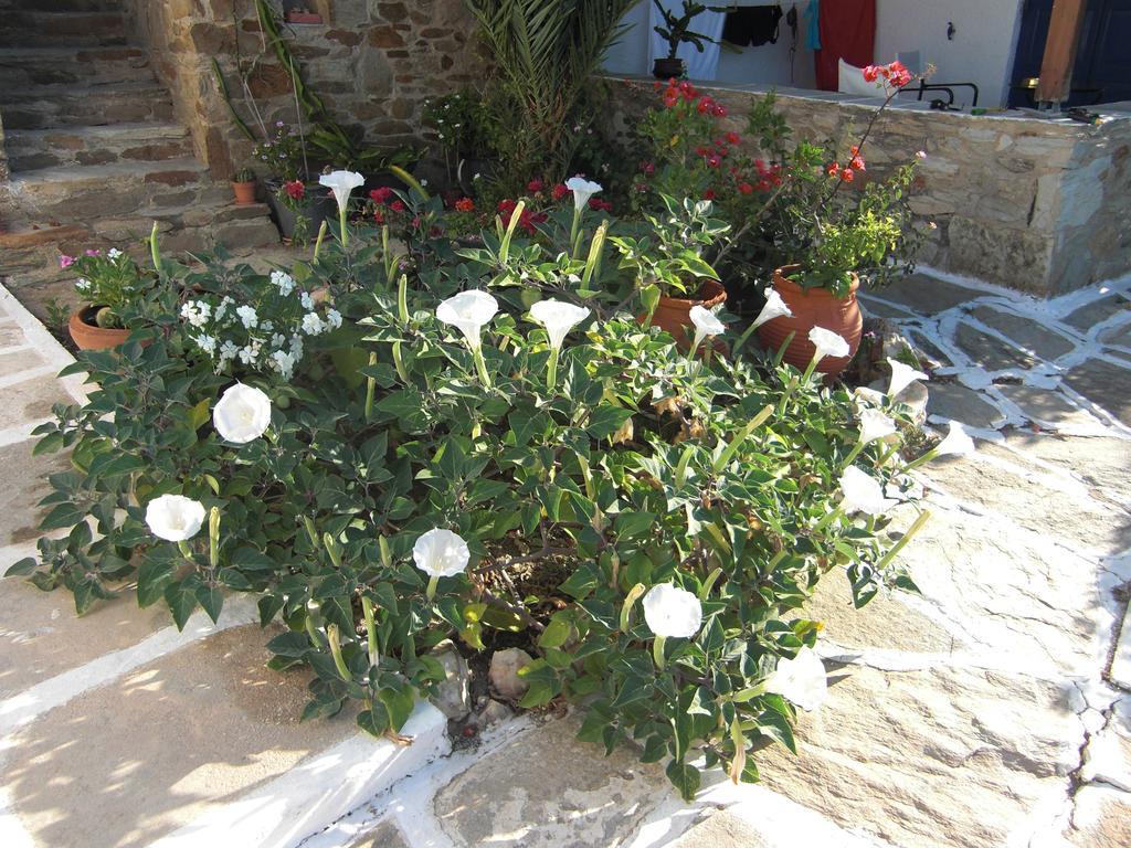 Eva Villa Mylopotas Exterior foto