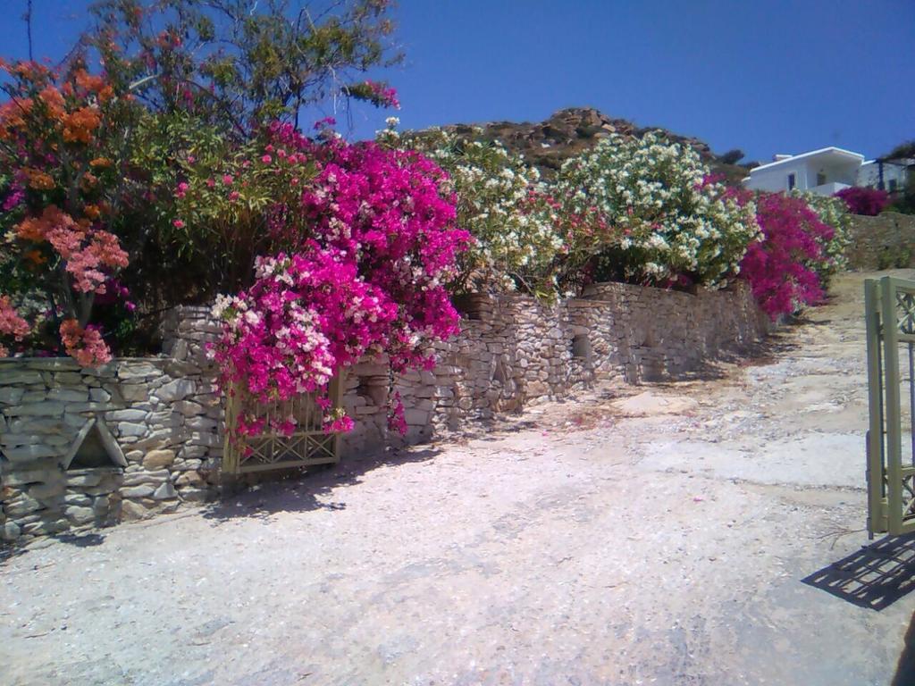 Eva Villa Mylopotas Exterior foto